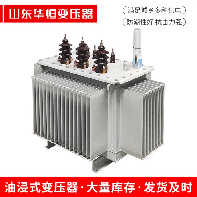 S13-10000/35东兴东兴东兴油浸式变压器厂家